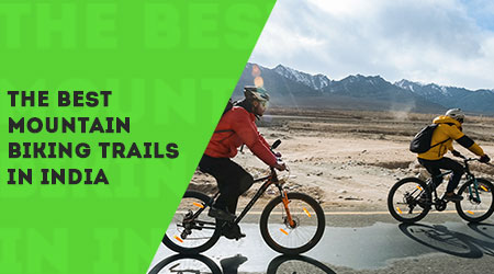 Best bike for mountain biking hot sale