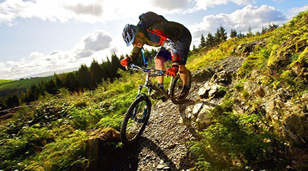 Mtb all online terrain