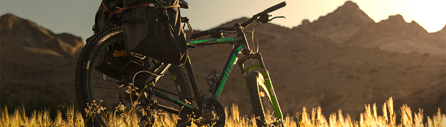 Ninety One Cycles’ Latest Launches Will Steal Your Heart | Ninety One ...