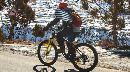 Best fat bike for snow hot sale