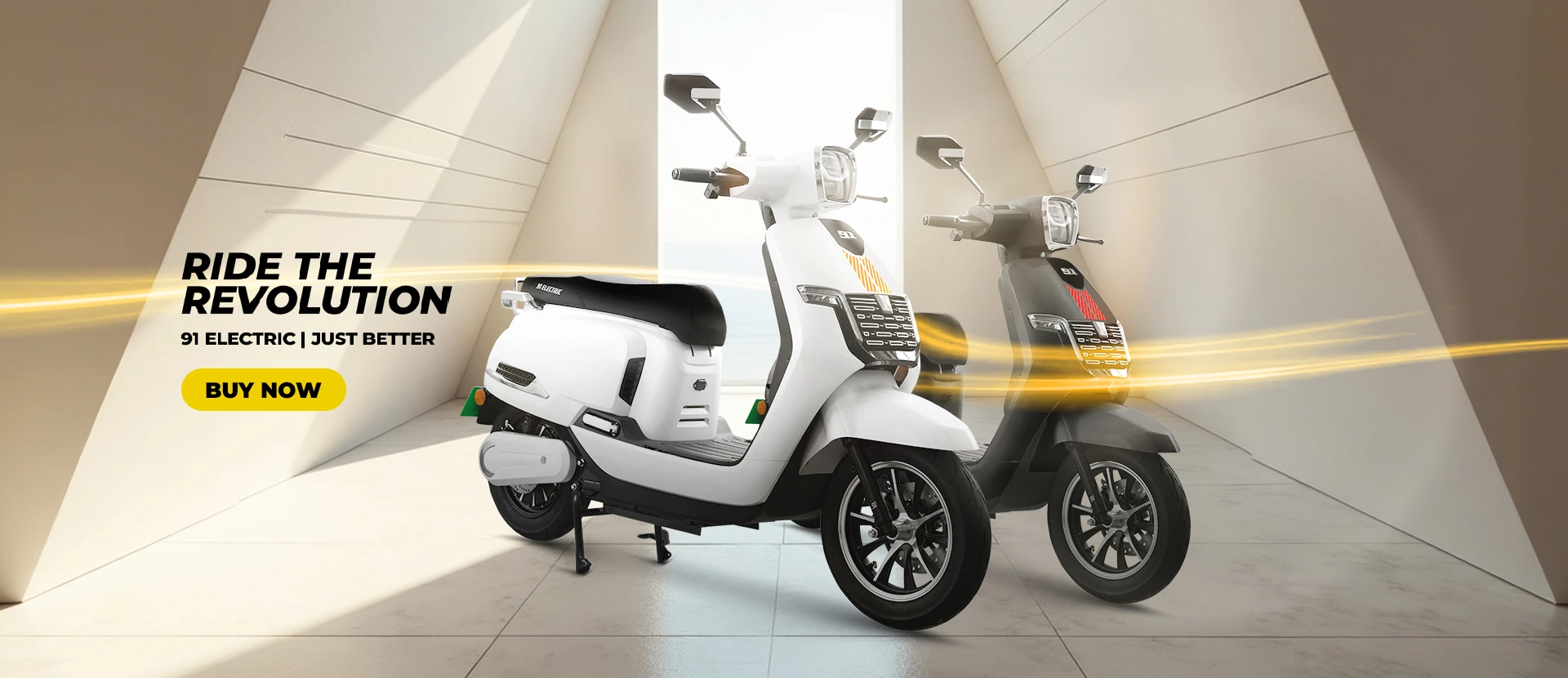 Electric Scooter