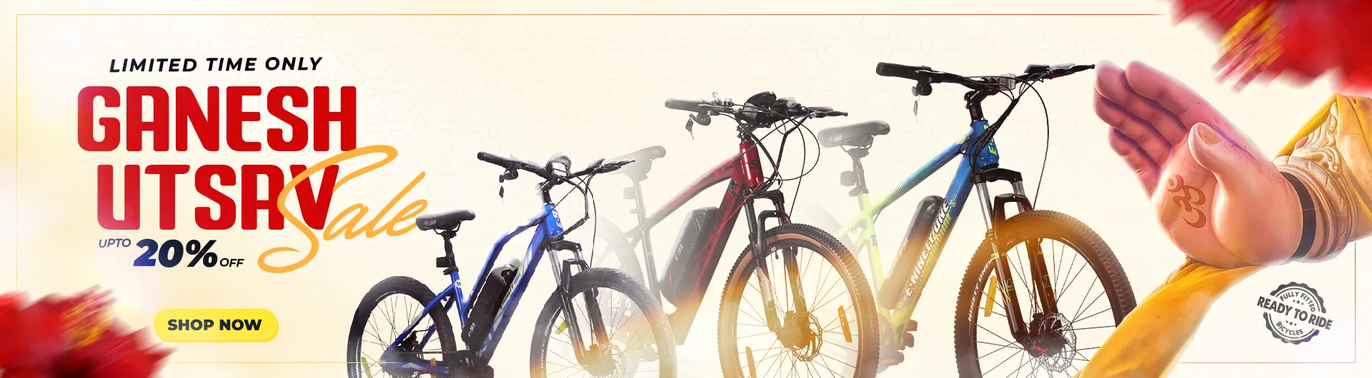 Freedom Sale Bicycle