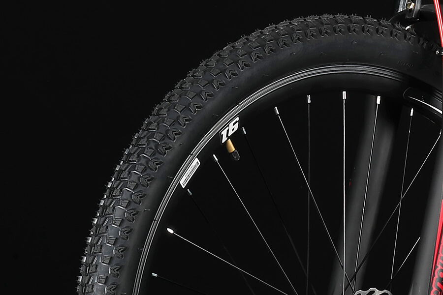 Tires of Mountain Bike