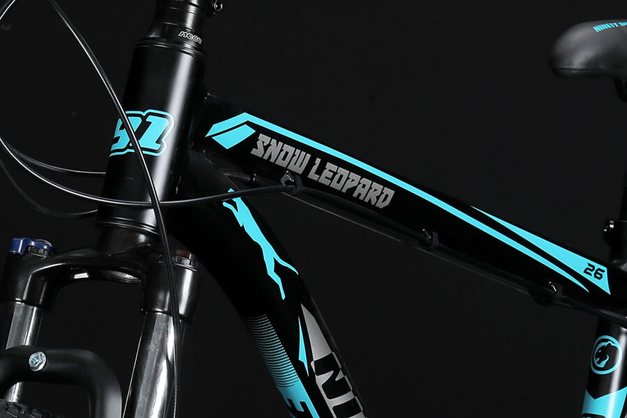 Frame of MTB Bicycle
