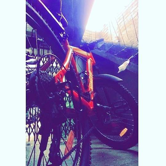 Customer review image