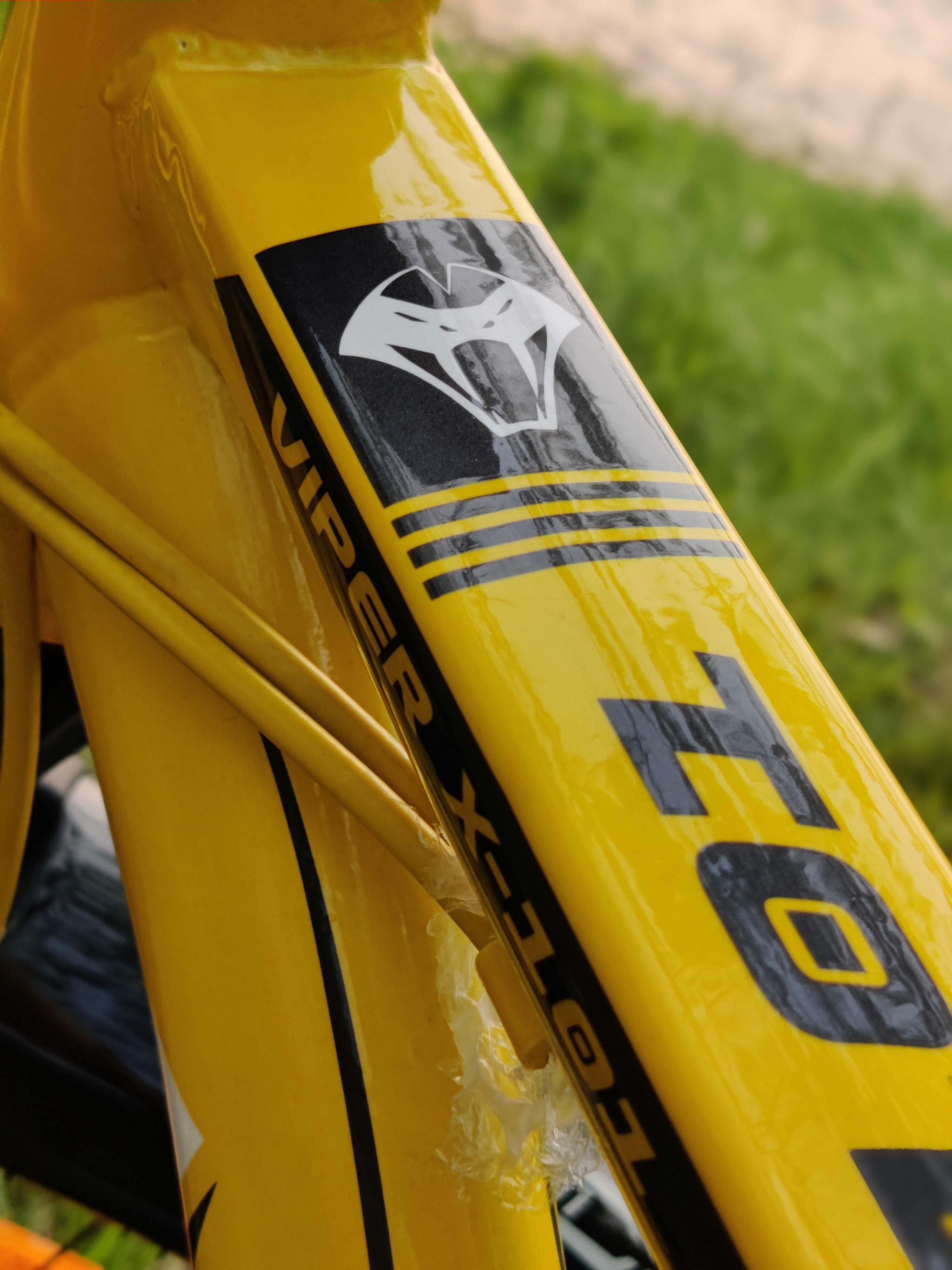 Customer review image