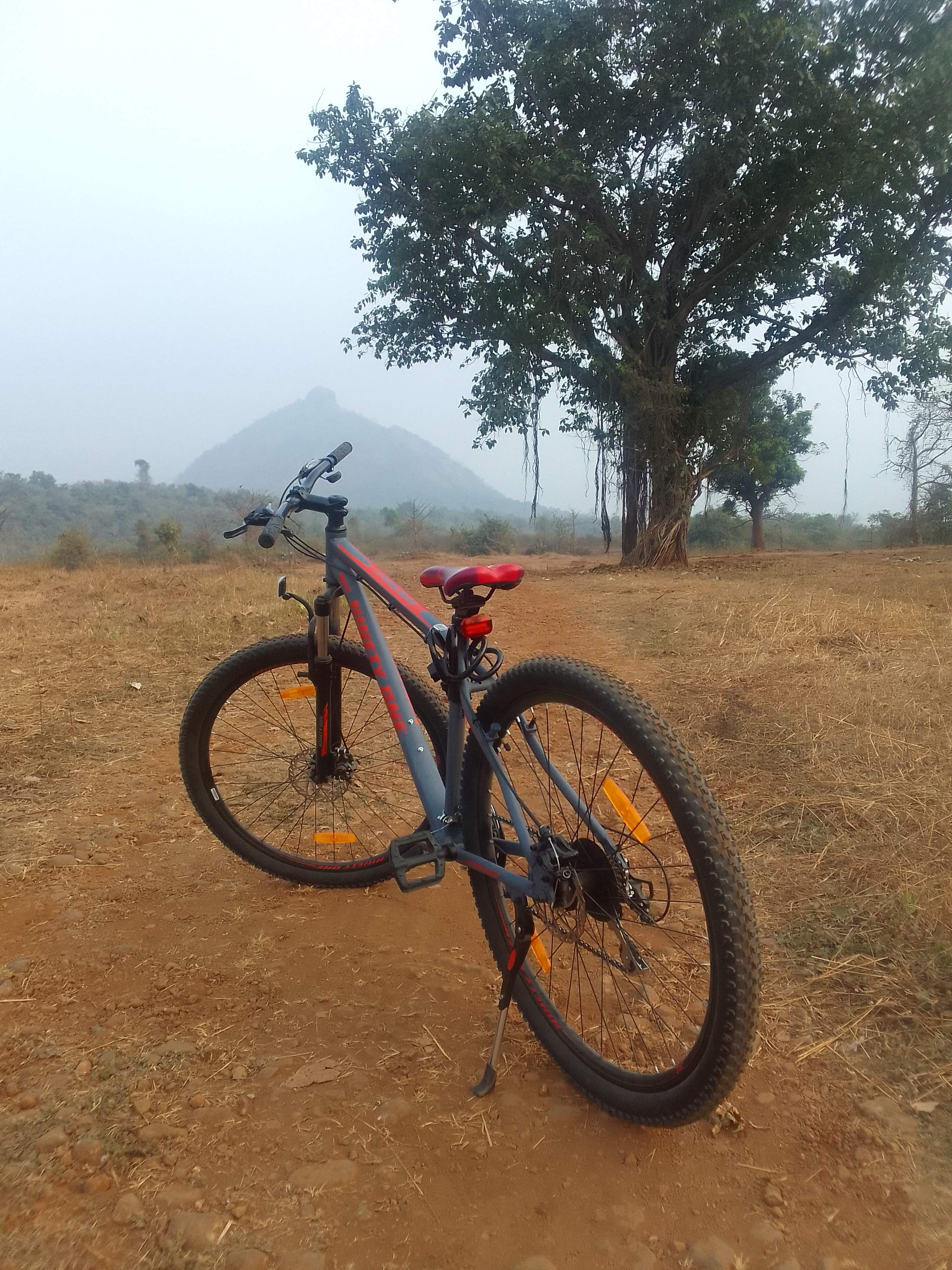 Customer review image