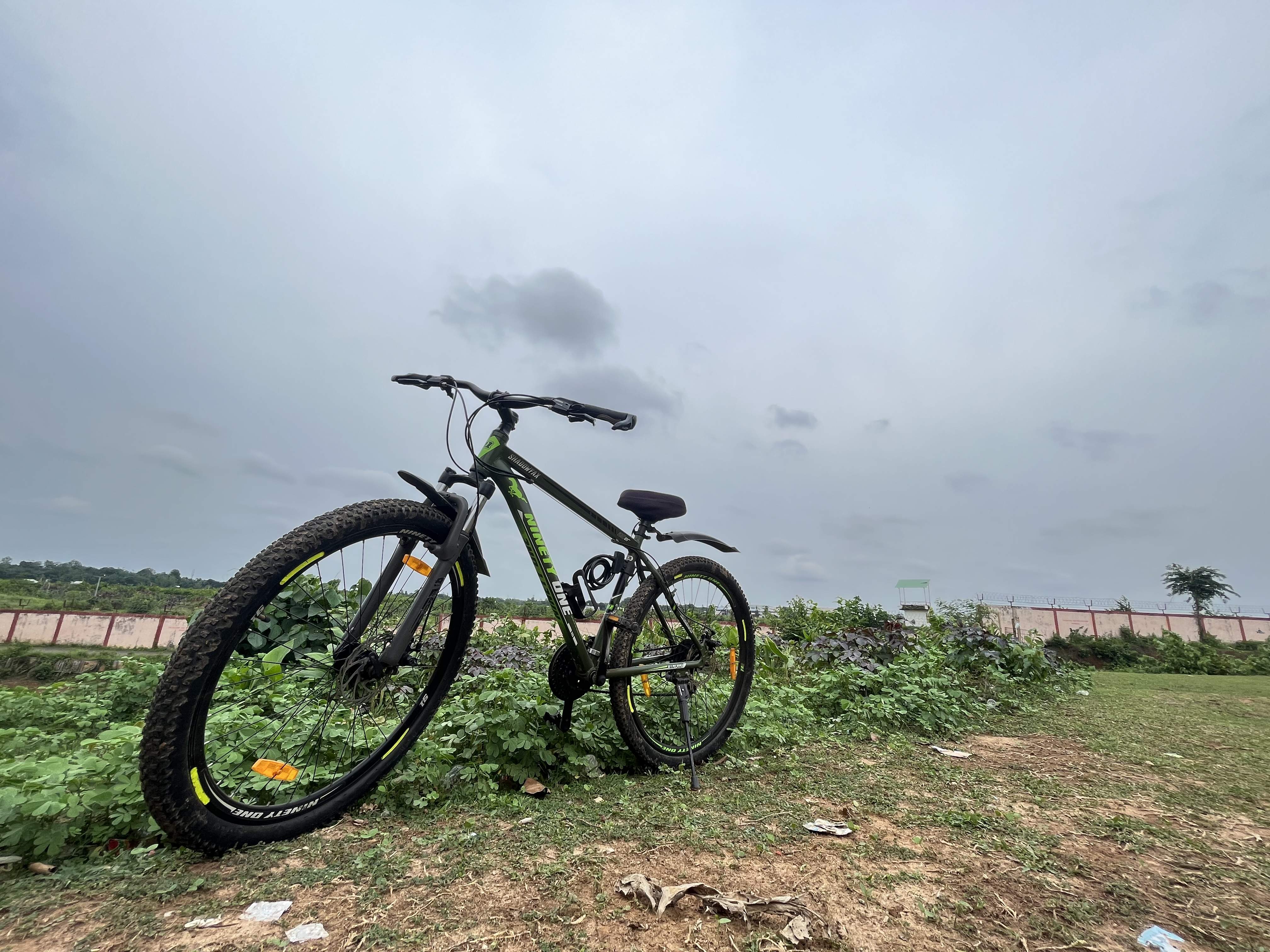 Customer review image