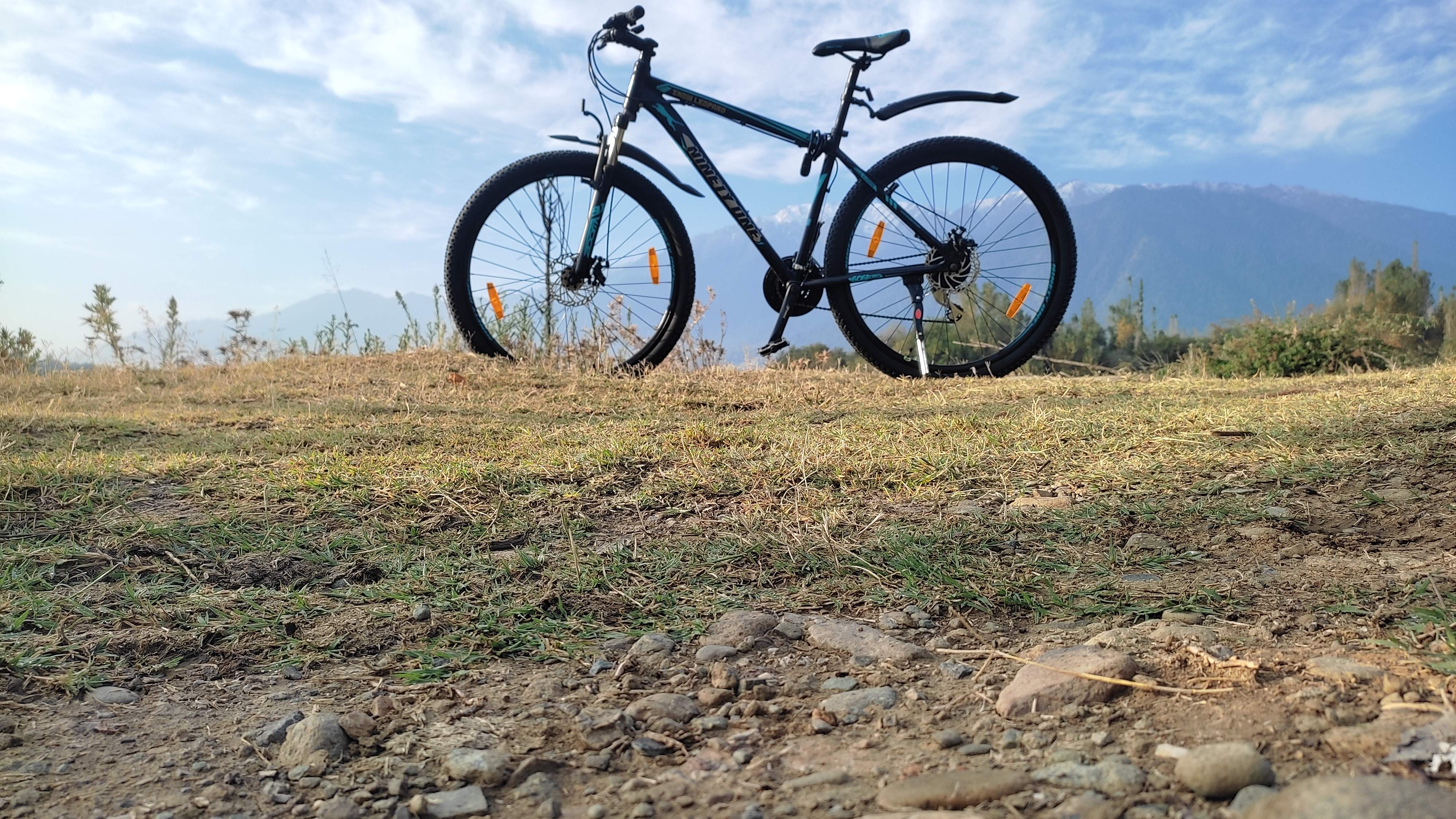 Customer review image