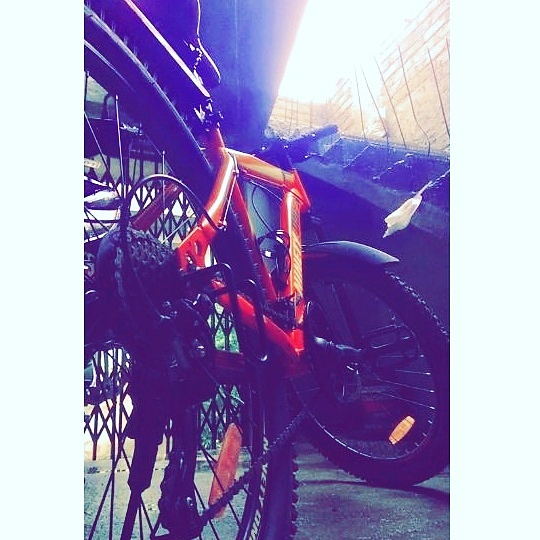 Customer review image