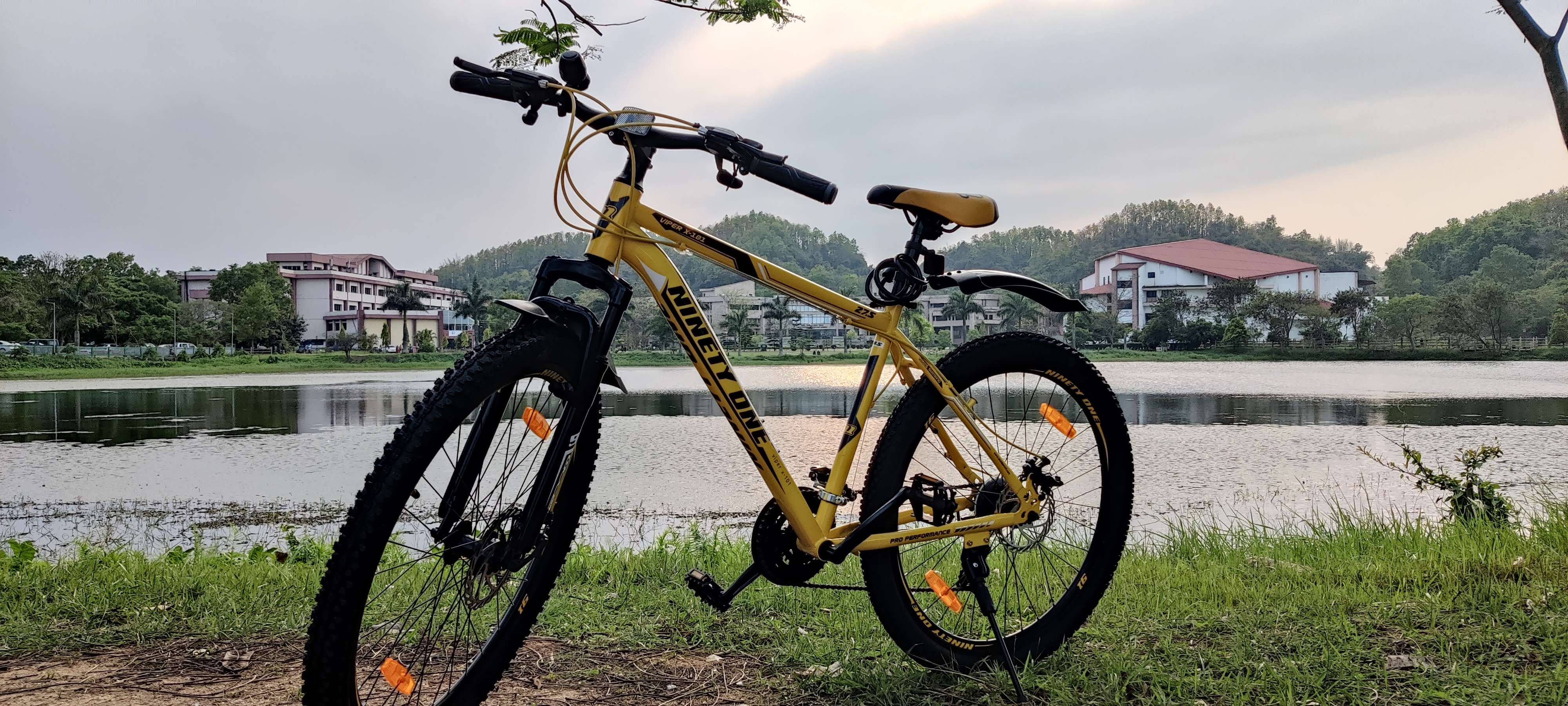 Customer review image