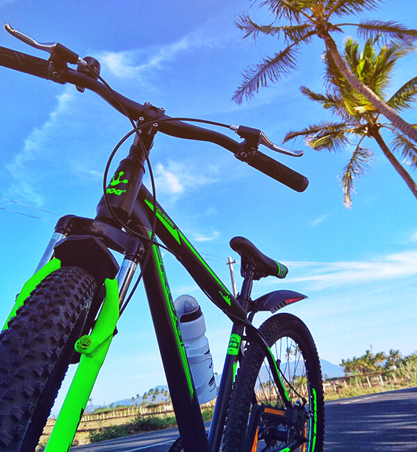 frog cycle gear